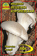 Мицелий грибов Насіння країни Вешенка королевская 10 г NX, код: 7718787