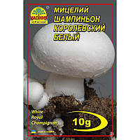 Мицелий грибов Насіння країни Шампиньон королевский белый 10 г NX, код: 7718802