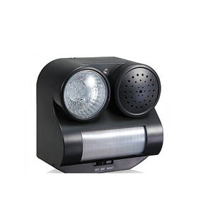 Шипи та відлякувачі птахів