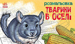 Тварини в оселі. Розмальовка