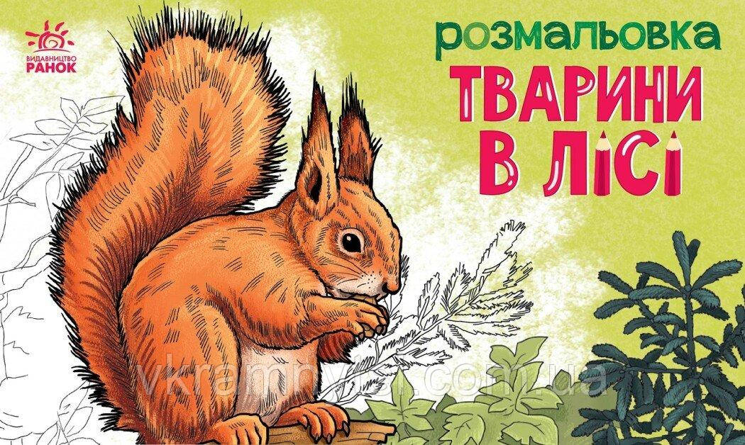 Тварини в лісі. Розмальовка