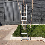 Алюмінієва драбина приставна односекційна 3 м 9 сходин Техпром, фото 7