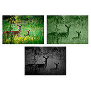 Цифровий прилад нічного бачення GUIDE DU50, 1920x1080px, 50 мм, фото 6