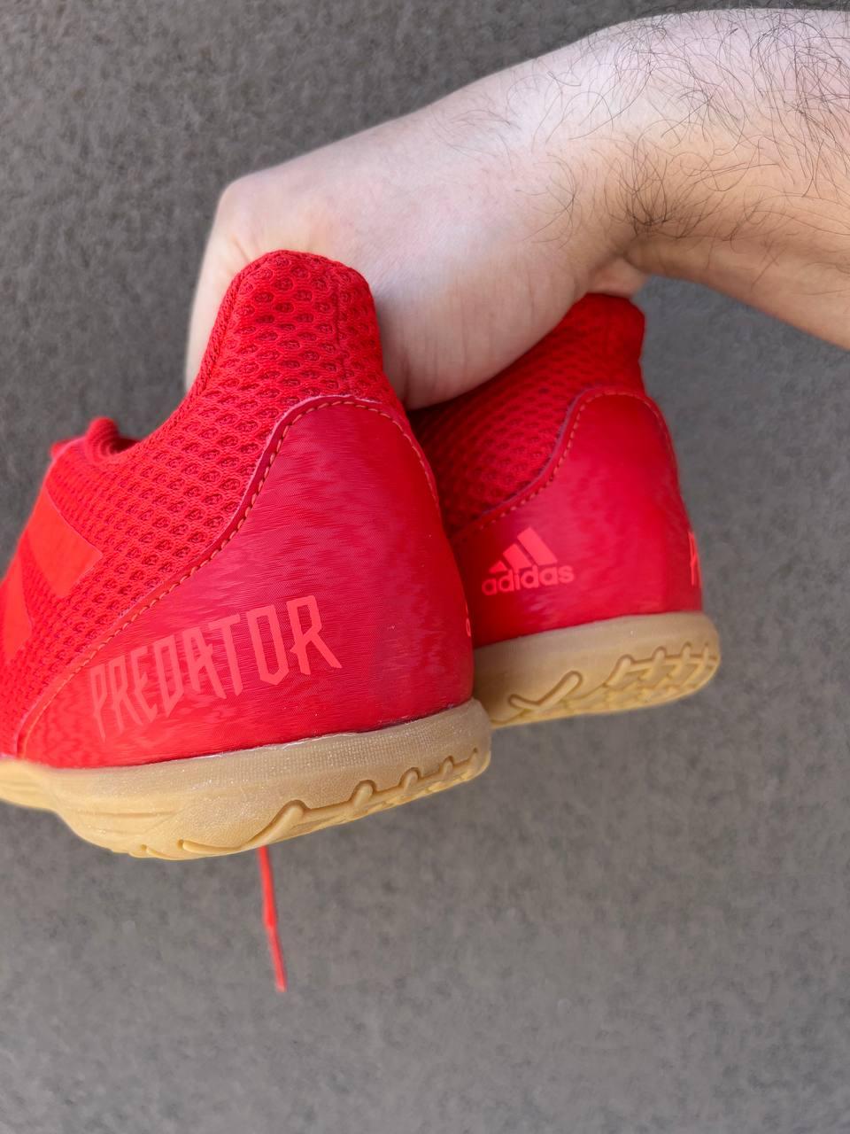 Футзалки Adidas Predator 19.4 Sala оригинал, футзальная обувь, бампы ...