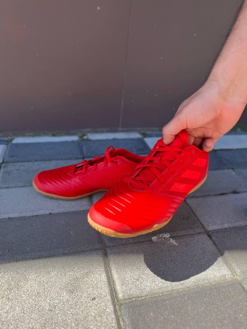 Футзалки Adidas Predator 19.4 Sala оригинал, футзальная обувь, бампы ...