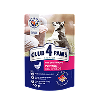 Акція! Club 4 Paws Premium Клуб 4 лапи вологий корм для цуценят усіх порід, курка в желе0.1КГх24ШТ