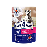 Club 4 Paws Premium Клуб 4 лапи вологий корм для цуценят усіх порід, курка в желе0.1КГх24ШТ