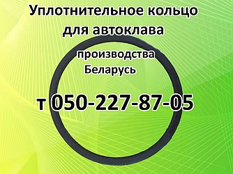 Ущільнювальне кільце для автоклава виробництва Білорусь