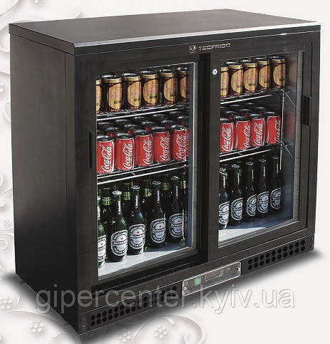 Шафа холодильна Tecfrigo Pub 250PS