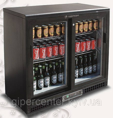 Шафа холодильна Tecfrigo Pub 250PS, фото 1