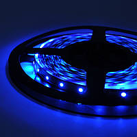 Стрічка Світлодіодна 3528, (60 світлодіодів), 12B, 5 метрів котушка Blue от DOM-Energy