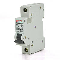 Автоматичний вимикач SHYY C65 1PC20 от DOM-Energy