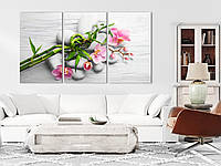 Модульная картина для интерьера, картины из частей, настенный декор для дома Розовая орхидея на камнях 100x180