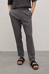 Льняні чоловічі штани Finn Flare BAS-20024-205 сірі S