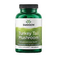 Turkey Tail Mushroom 500mg - 120 caps