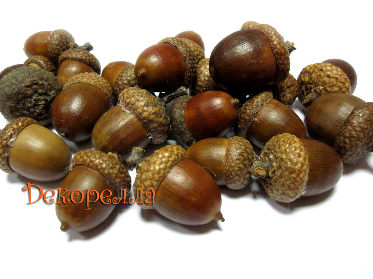 Жолудь 24шт (натуральний), фото 1