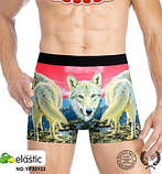 Труси чоловічі "Veenice" (XL-4XL)х/б, фото 3