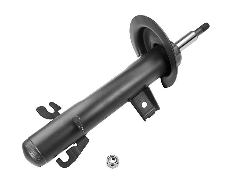 Амортизатор передній правий Raiso (Швеція) Mini Cooper R50, Міні Купер Р50 01-06 #RS290236 UAFZGHQ4