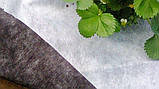 Агроволокно Чорне-Біле мульчуюче 50 г/м2 (0.80м/100 м) Garden Flora Польща агроволокно для огірків, фото 2