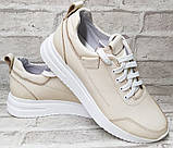 Кросівки шкіряні жіночі від виробника модель СЛ23-232, фото 2
