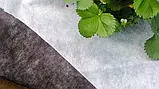 Агроволокно Чорне-Біле мульчуюче 50 г/м2 (1.07м/100 м) Garden Flora Польща волокно для посадки полуниці, фото 2