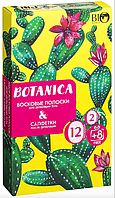 Набор для депиляции тела Bio World Botanica (полоски/12шт+8шт + саше) skr