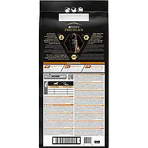 Сухий корм для собак Pro Plan Large Robust Adult Everyday Nutrion для великих порід з куркою 14 кг, фото 5