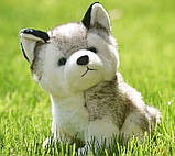 М'яка іграшка цуценя Хаскі 25 см, фото 2