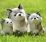 М'яка іграшка цуценя Хаскі 25 см, фото 4