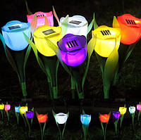 Сонячний світильник - тюльпан для саду