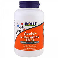 Комплекс Ацетил Карнитин NOW Foods Acetyl-L-Carnitine 500 mg 200 Veg Caps NX, код: 7520328