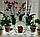 Карета-2, підставка для квітів на 6 чаш, фото 2