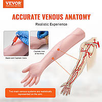 VEVOR Phlebotomy Exercise Arm Training Set Blood Drawing, Intravenous Training Set for Venipuncture, Highly