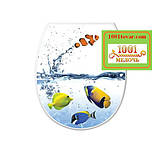 Пластикове сидіння з кришкою для унітазу "Черепашка з жемчуженой", фото 3