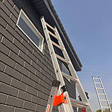 3х секційна драбина стремянка 8 щаблів розсувна Техпром, фото 3