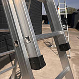 3х секційна драбина стремянка 8 щаблів розсувна Техпром, фото 4