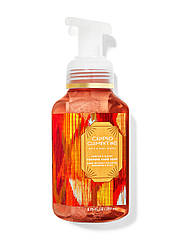 Мило-піна для рук Bath and Body Works Calypso Clementine​​​​​​​