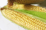 Обробка кукурудзи від шкідників та бур'янів