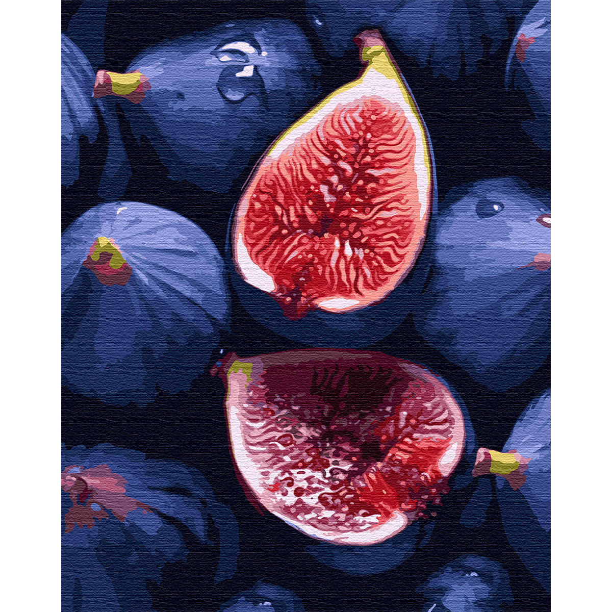 Картина за номерами SANTI Інжир 40х50, фото 1