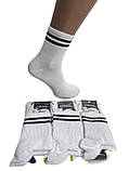 Шкарпетки серії TREN Полоски 25-27р. (12 пар!) (Демісезон/Літні) Варос, фото 2
