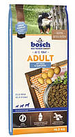 Сухий корм для дорослих собак Bosch Adult риба та картопля 15 кг (4015598013260)