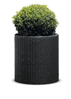 Горщик для квітів Keter Medium Cylinder Planter 229123 антрацит