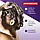 Шампунь антижовтина L'Oréal Paris Elvital Color Glanz Purple, 200 мл., фото 4