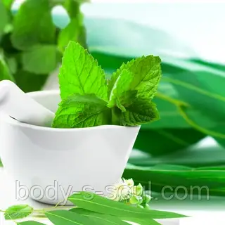 Mint & Eucalyptus №262, косметична віддушка для мила, свічок ручної роботи, США, ваніль 0,0%