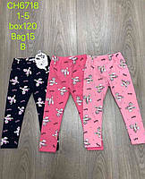 Лосини для дівчат оптом, S&D, 1-5 років, № CH-6718, фото 2