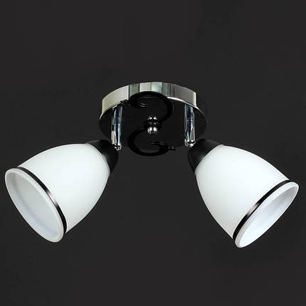 Люстра стельова на два плафони, фото 1