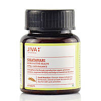 Шатаварі-500 мг, Джива Shatavari Jiva 60 таб при гормональному дисбалансі