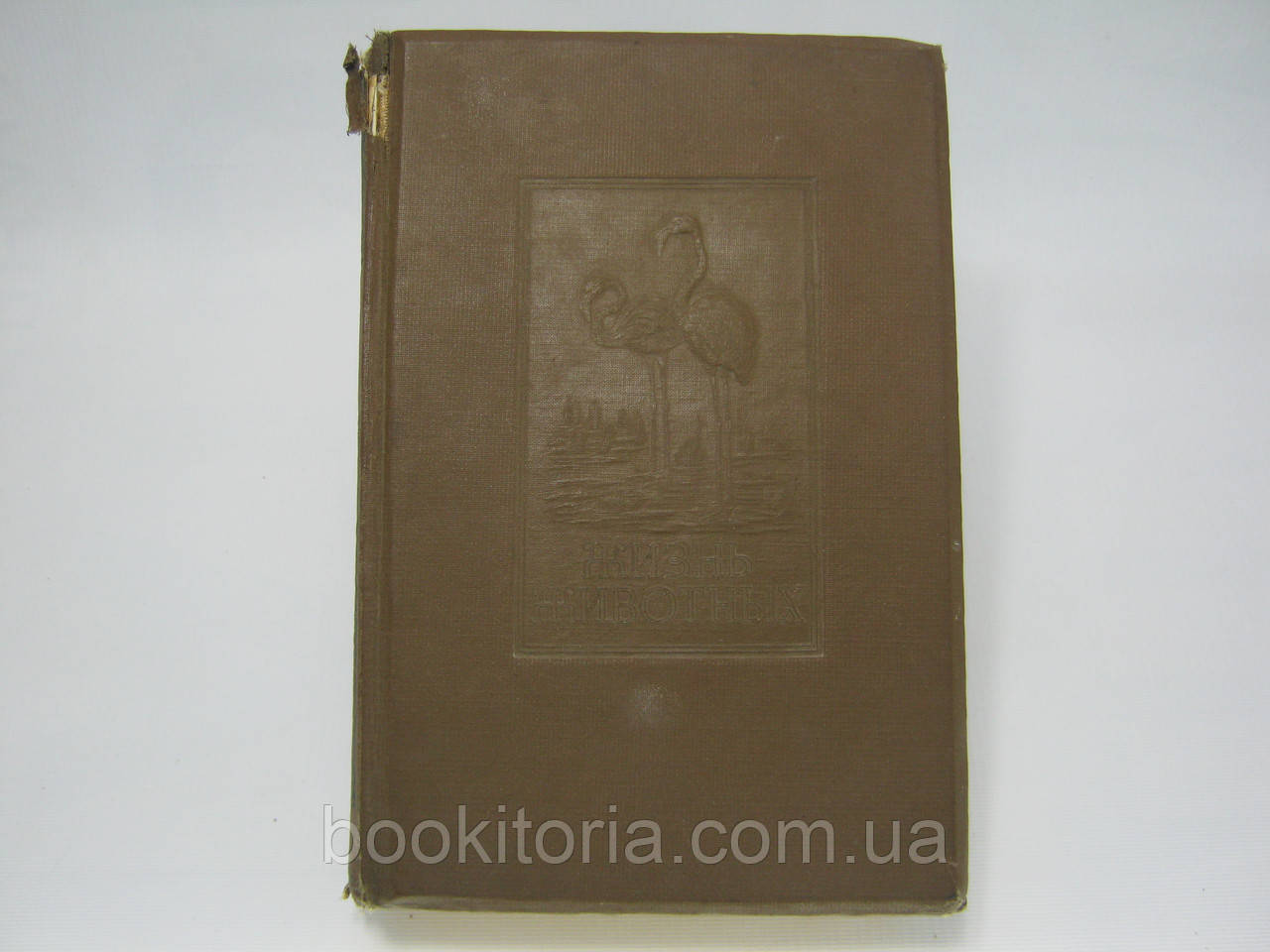 Життя тварин. По А.Е. Брему. У п'яти томах. Том четвертий. Птахи (б/у).