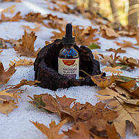 Bioray, Microbe Slayer, засіб для детоксикації мікроорганізмів, без спирту, 2 рідкі унції (60 мл) BX868, фото 4