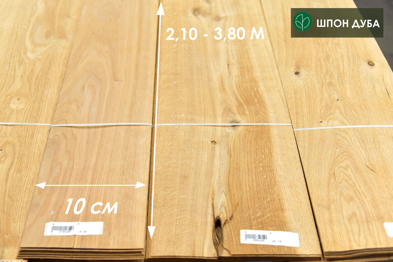 Шпон дуба - 0,6 мм, довжина 2,1 - 3,8 м / ширина від 10 см (сучки), фото 1